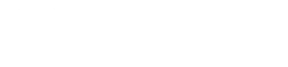 DELION